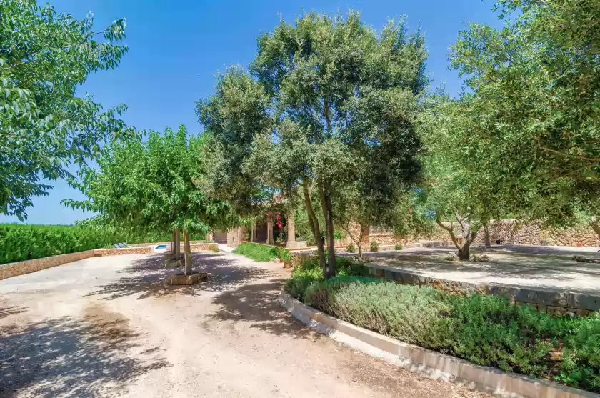 Alquiler vacacional en Aubadallet, Vilafranca de Bonany