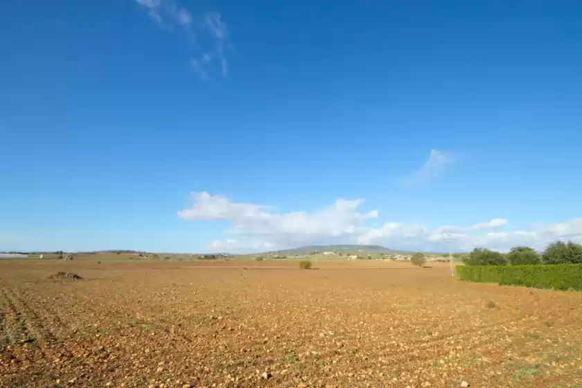 Alquiler vacacional en Aubadallet, Vilafranca de Bonany