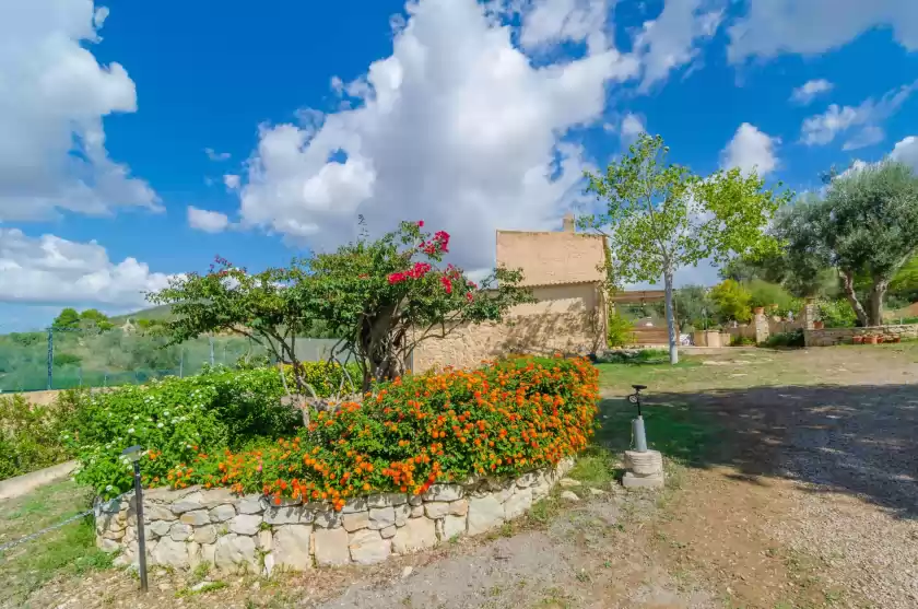 Location de vacances à La cigarra can carrasco, Son Macià