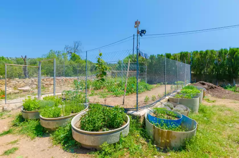 Location de vacances à La cigarra can carrasco, Son Macià