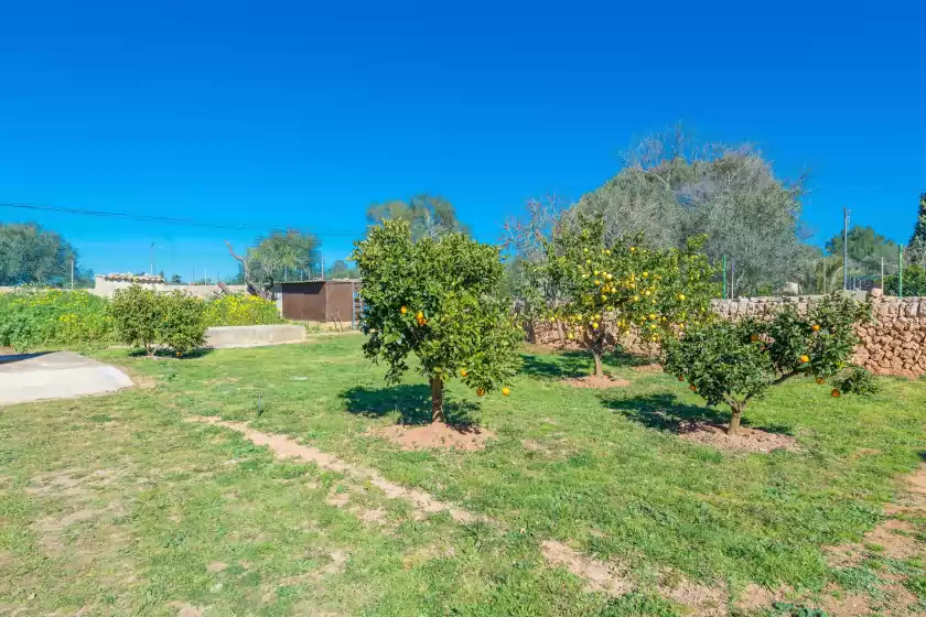 Location de vacances à Las piedras, Llucmajor