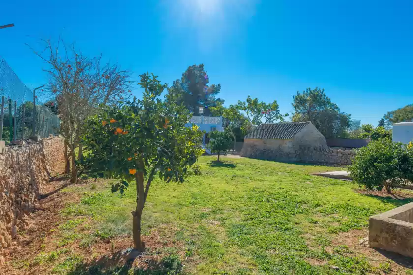 Location de vacances à Las piedras, Llucmajor