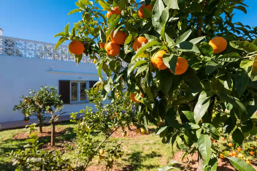 Location de vacances à Las piedras, Llucmajor