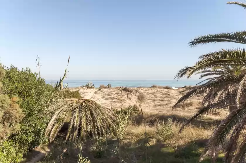 Location de vacances à Cotton, Urbanització Platja d'Oliva