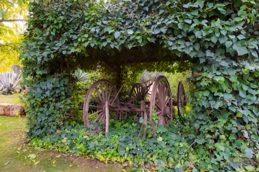 Location de vacances à Ses tendes, Algaida