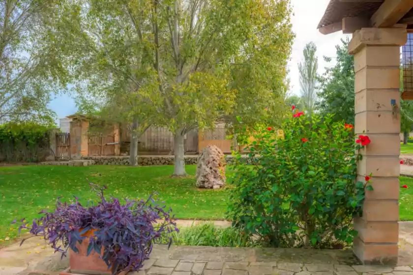 Location de vacances à Ses tendes, Algaida