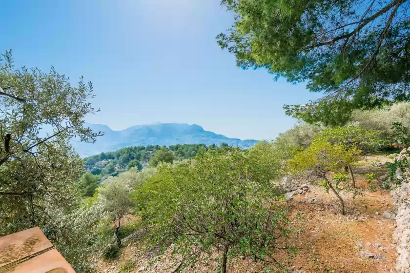 Location de vacances à S'olivaret (fornalutx), Fornalutx