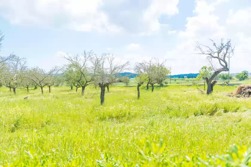 Location de vacances à Casa holganza, Maria de la Salut