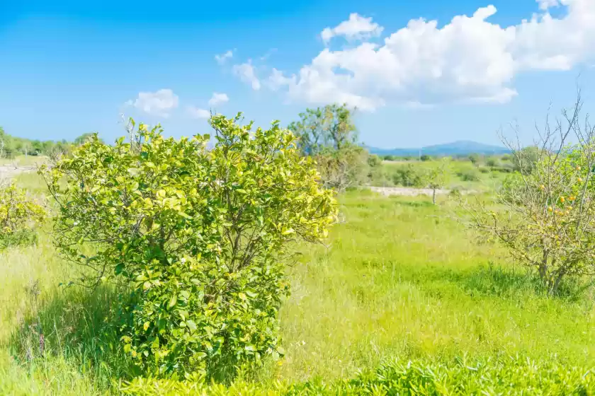 Location de vacances à Casa holganza, Maria de la Salut