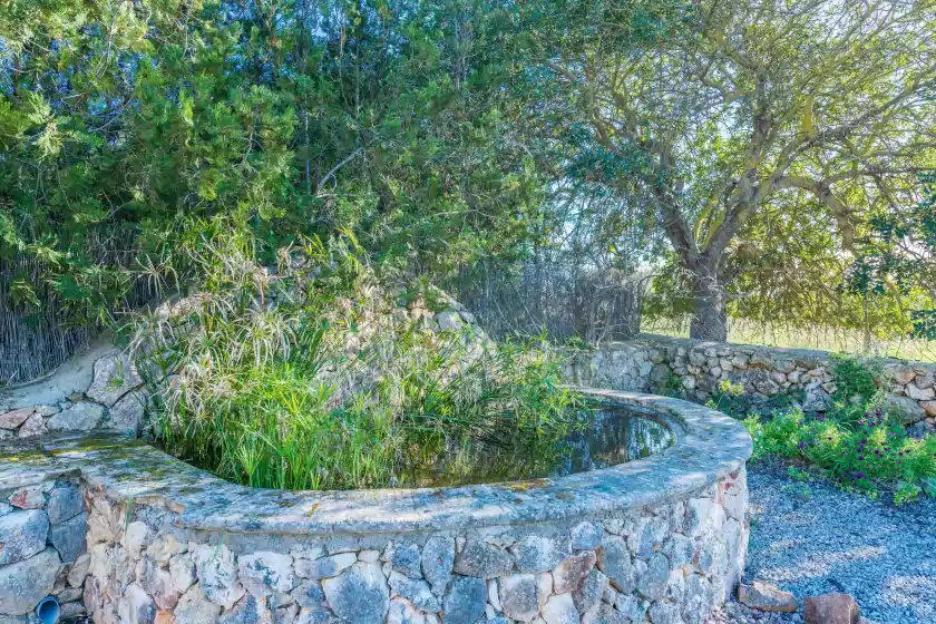 Location de vacances à Sa punta, Son Carrió