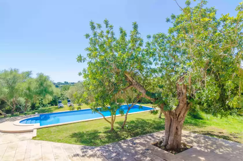 Ferienhaus auf Finca calma, Son Servera