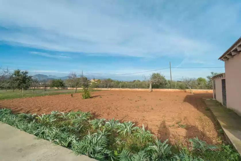 Location de vacances à Ca'n canastro, Binissalem