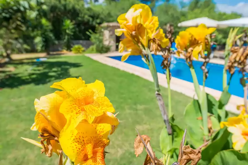 Location de vacances à Casa alba, Manacor