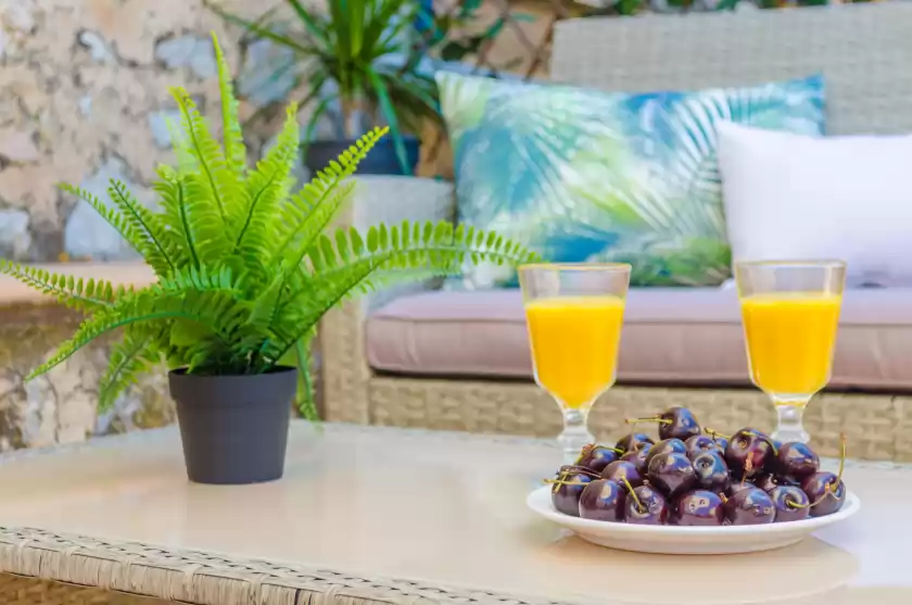 Holiday rentals in Can damia , s'Arracó