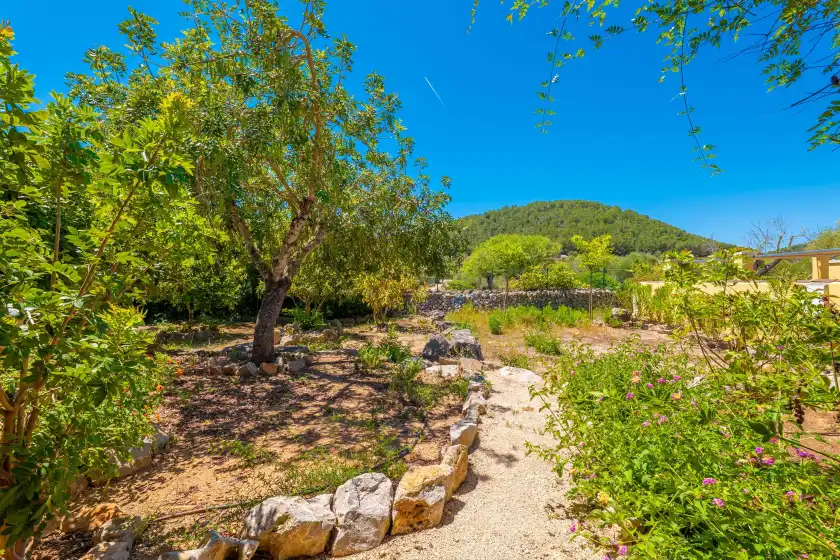 Alquiler vacacional en Ca na margalida, Cala Murada
