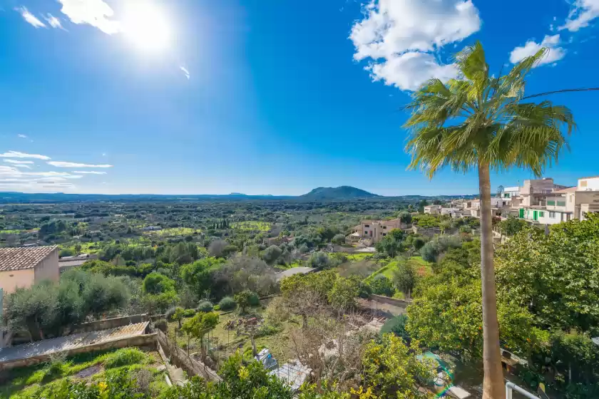 Location de vacances à Biali, Búger