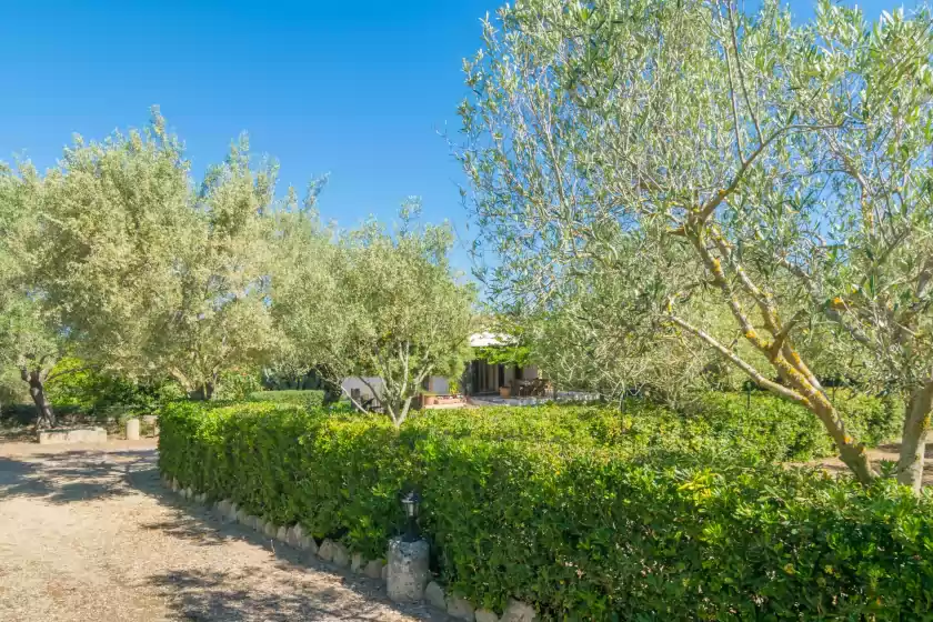 Holiday rentals in Can mostatxet, Can Picafort