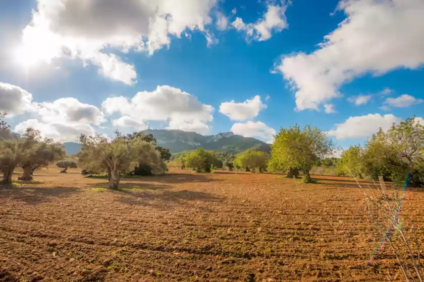 Location de vacances à Bonavista (batle de bonavista)	, Felanitx