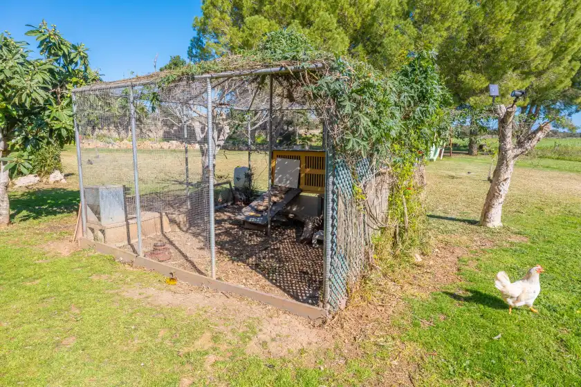 Alquiler vacacional en Es rafal nostro, Felanitx