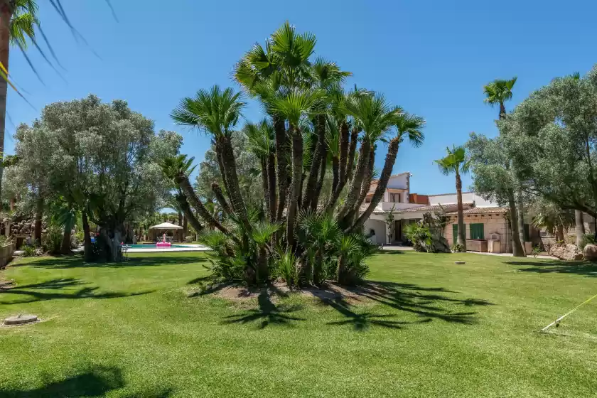 Holiday rentals in Santa margalida, Santa Margalida
