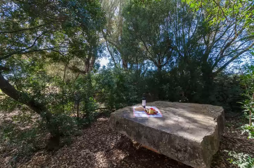 Location de vacances à Son julià, Porreres