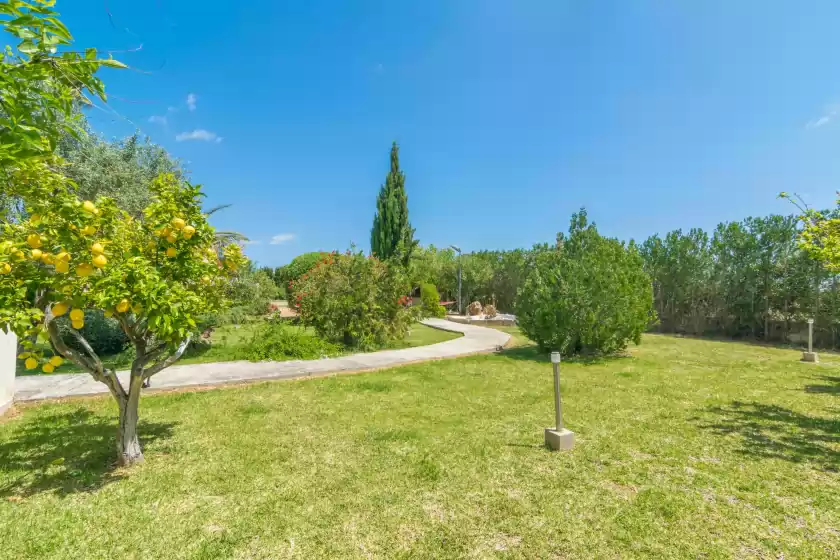 Location de vacances à Finca miralles, Búger