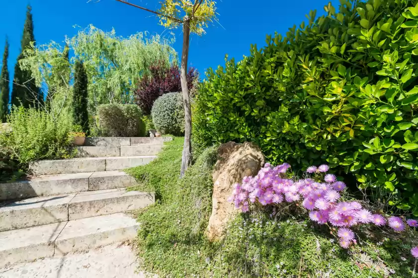 Holiday rentals in Son ferragut, Sa Pobla