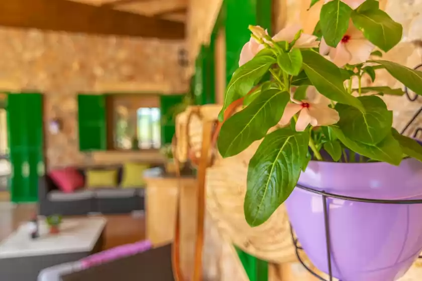 Location de vacances à Los girasoles, Campos