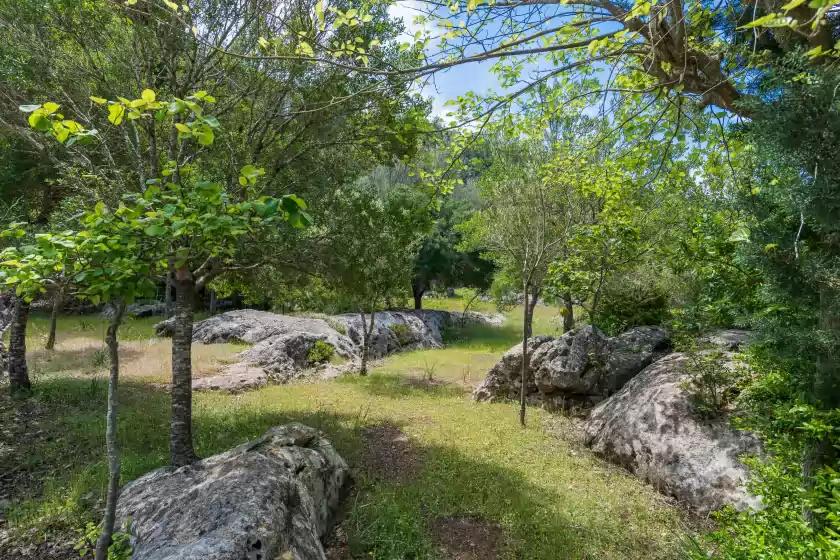 Alquiler vacacional en Can company, Campanet