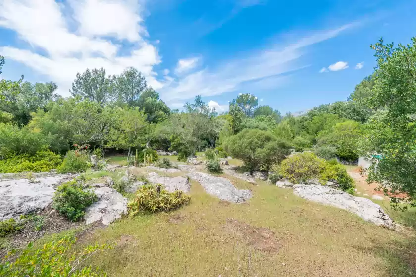 Alquiler vacacional en Can company, Campanet