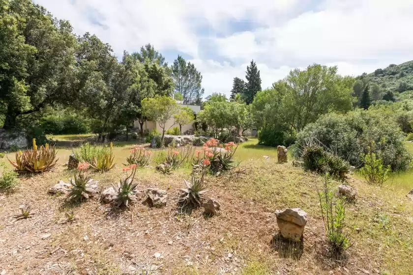 Alquiler vacacional en Can company, Campanet