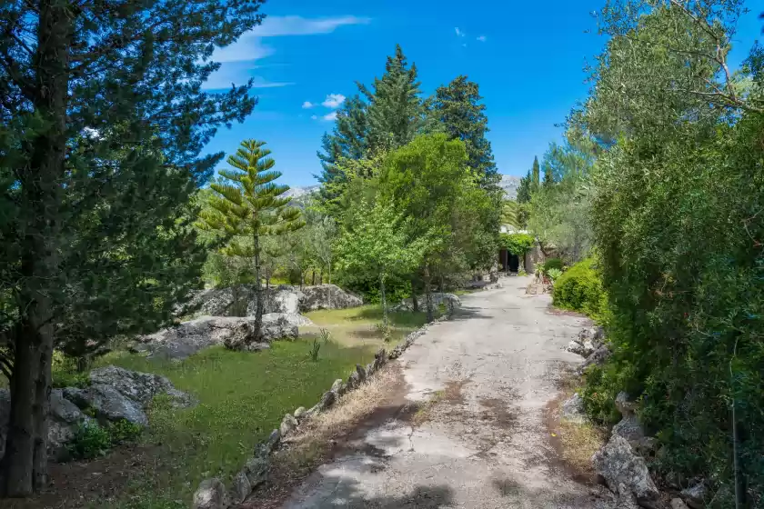 Alquiler vacacional en Can company, Campanet