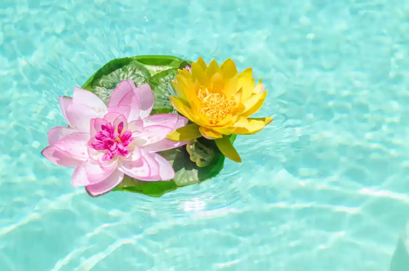 Location de vacances à Can toni, Sa Pobla