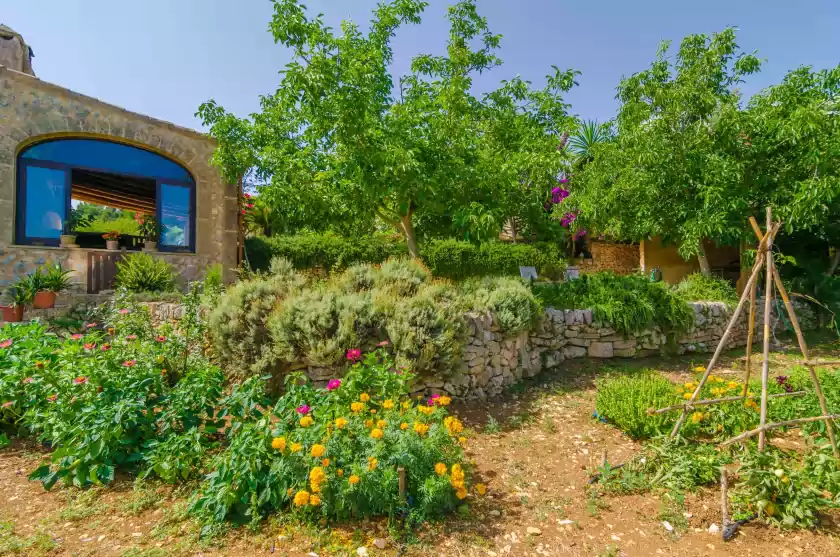 Location de vacances à Ses pedres, Manacor