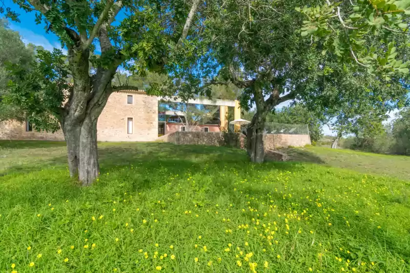 Alquiler vacacional en Viterbo, Son Servera