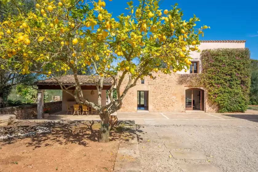 Alquiler vacacional en Can pere rapinya, Algaida