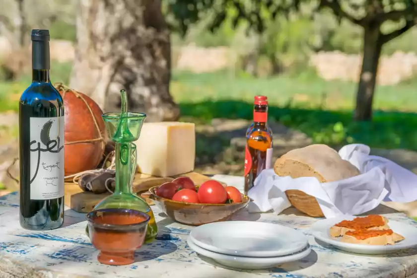 Alquiler vacacional en Can pere rapinya, Algaida