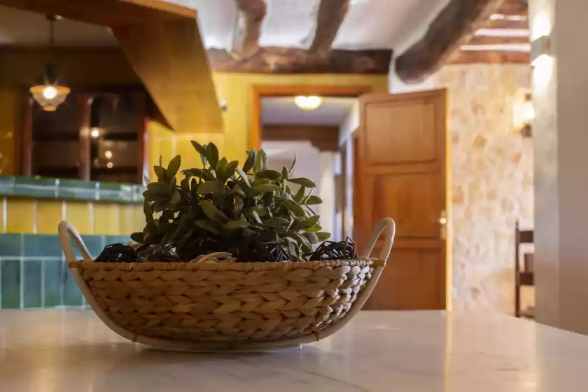 Ferienhaus in Son tomasset, Costitx