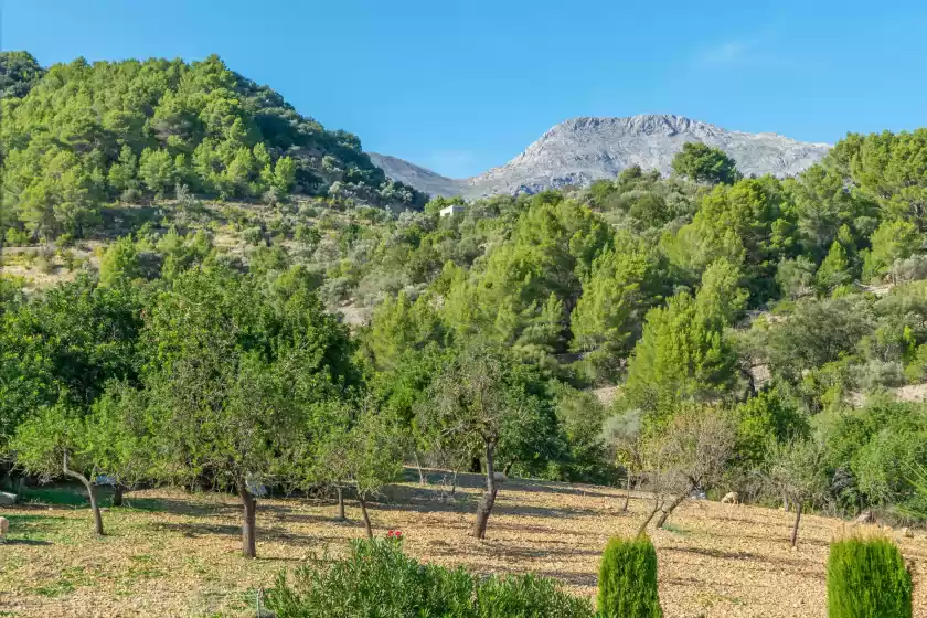 Location de vacances à Sa tanca de sa nina, Mancor de la Vall