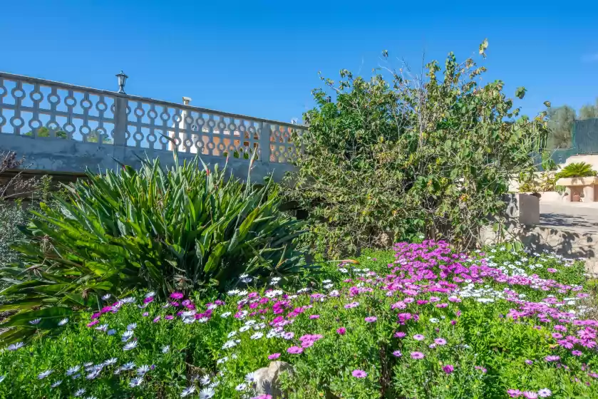 Holiday rentals in Vista sol, Ariany