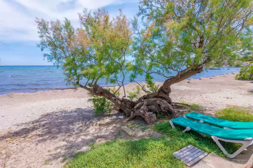 Location de vacances à Cas ferrerico, Port Vell, Port Verd i Port Nou