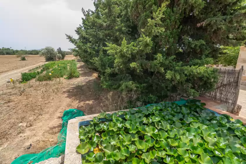 Location de vacances à Can ribas, Can Picafort