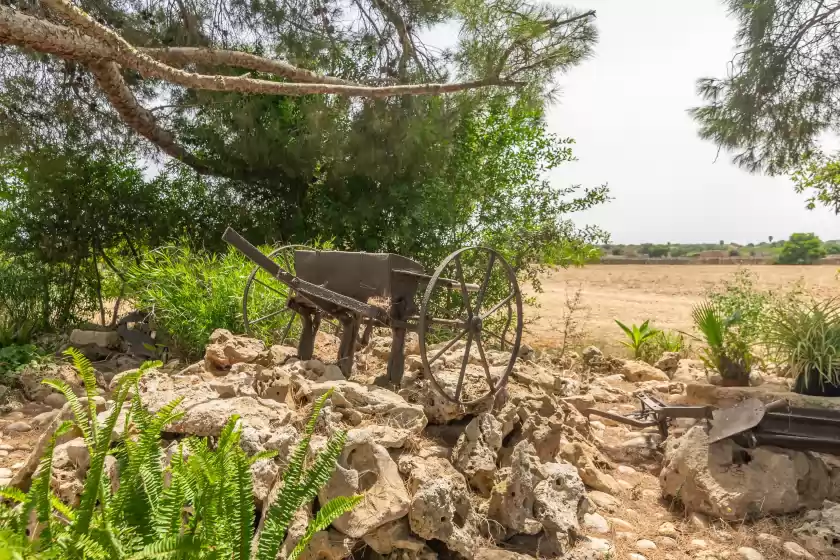 Location de vacances à Can ribas, Can Picafort