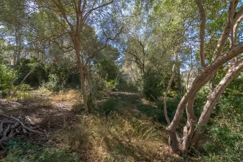 Location de vacances à Villa maria 6, Portals Nous