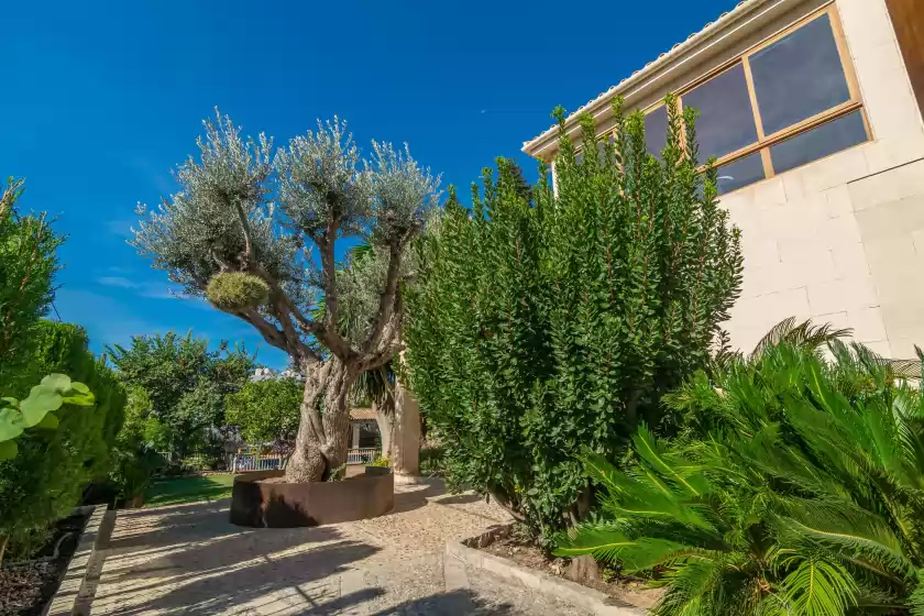 Location de vacances à Tramontana, Lloseta