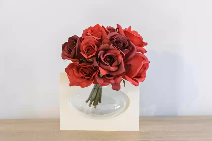 Location de vacances à La casa de bebita, Fuengirola