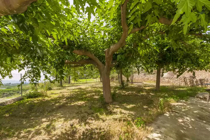 Location de vacances à Sensacions, Llutxent