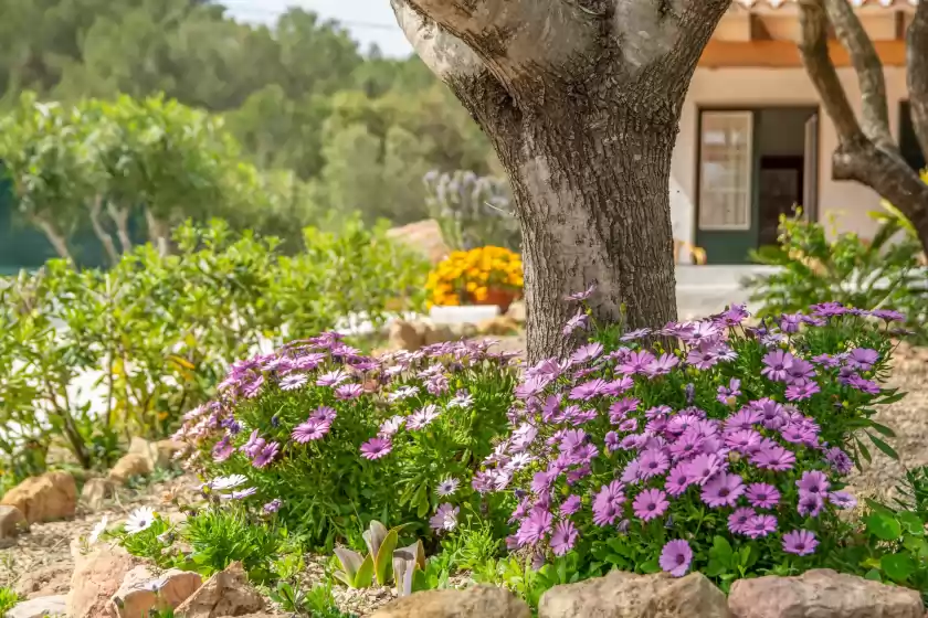 Location de vacances à Casa dina, Es Mercadal