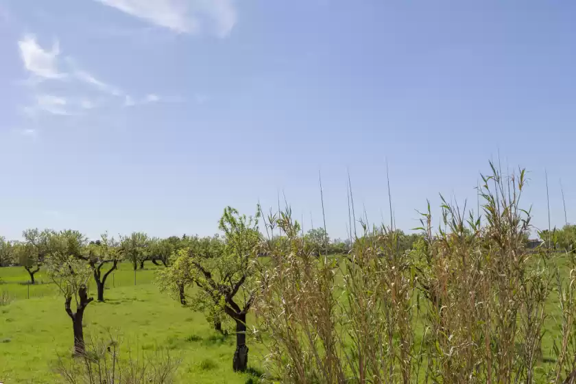 Location de vacances à Finca can diego, Inca