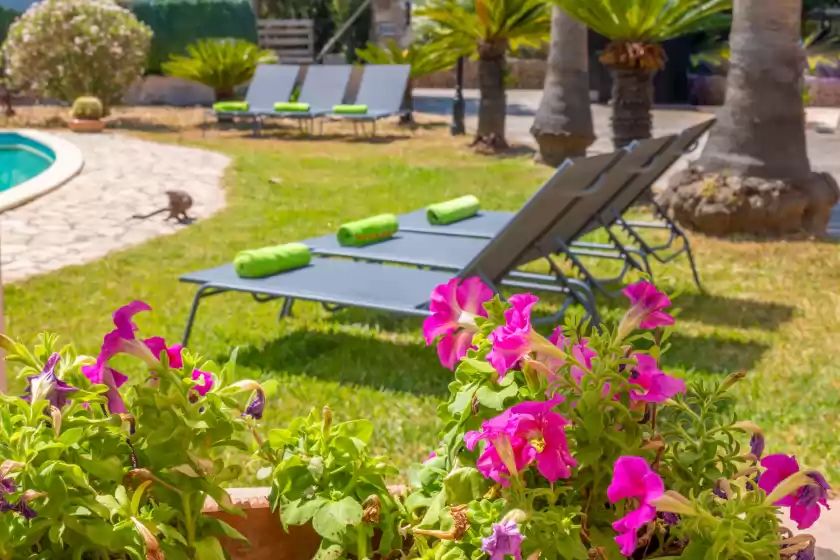 Location de vacances à Son figuerola, Inca